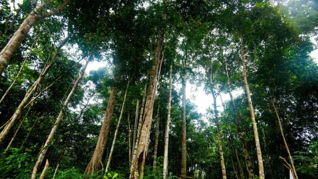 Biodiversidad