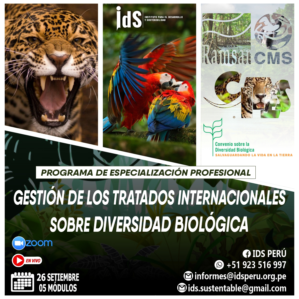 Programa de Especialización Profesional en Gestión de los Tratados Internacionales sobre Diversidad Biológica
