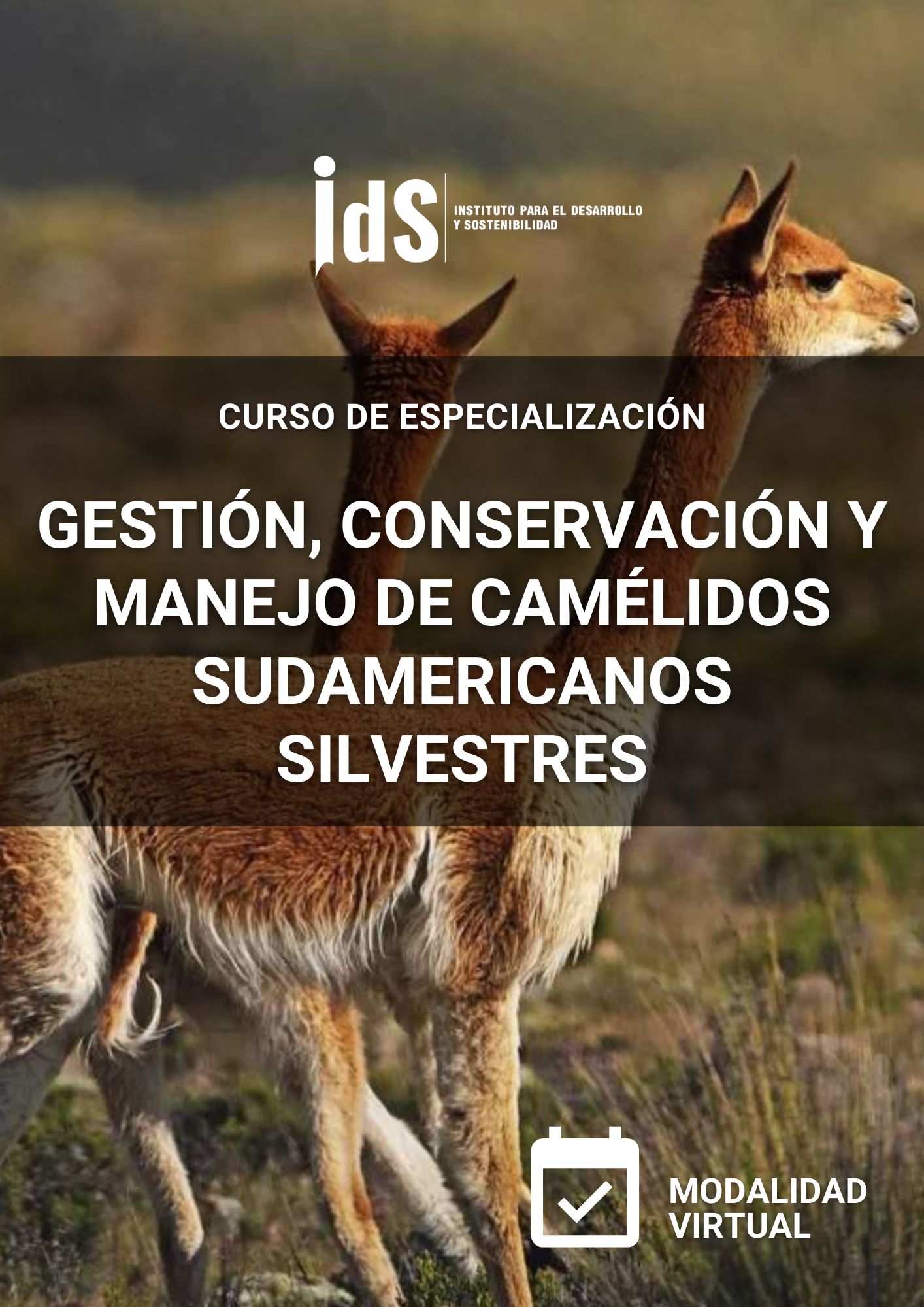 CE Gestión, Conservación y Manejo de Camélidos Sudamericanos Silvestres
