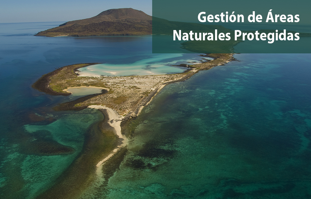Gestión de áreas protegidas y otras formas de conservación de carácter nacional, regional, municipal y privada